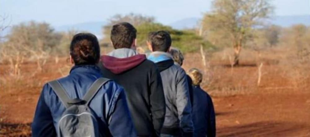africamps at white elephant safaris