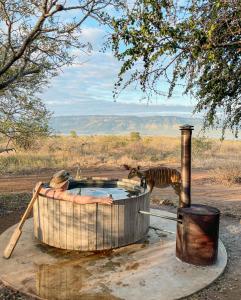 africamps at white elephant safaris