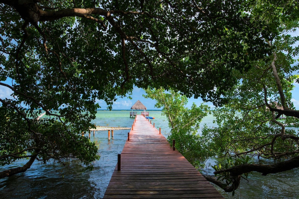bacalar