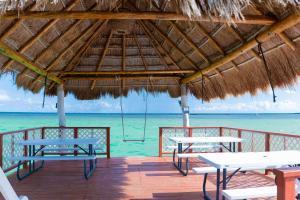 bacalar
