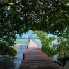 bacalar