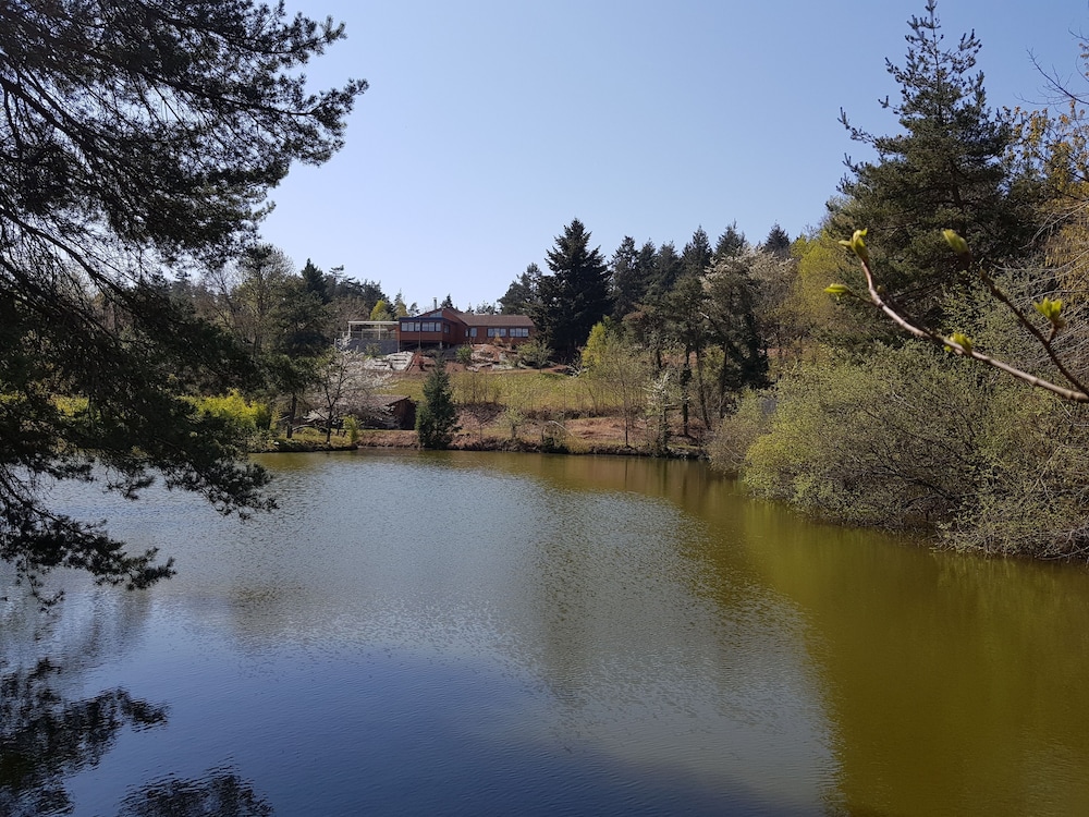 andelaroche