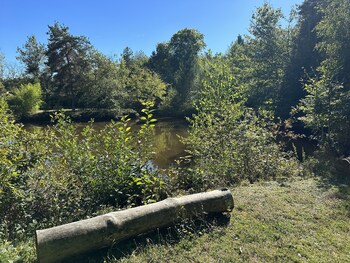 andelaroche