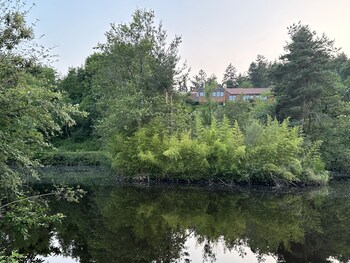 andelaroche