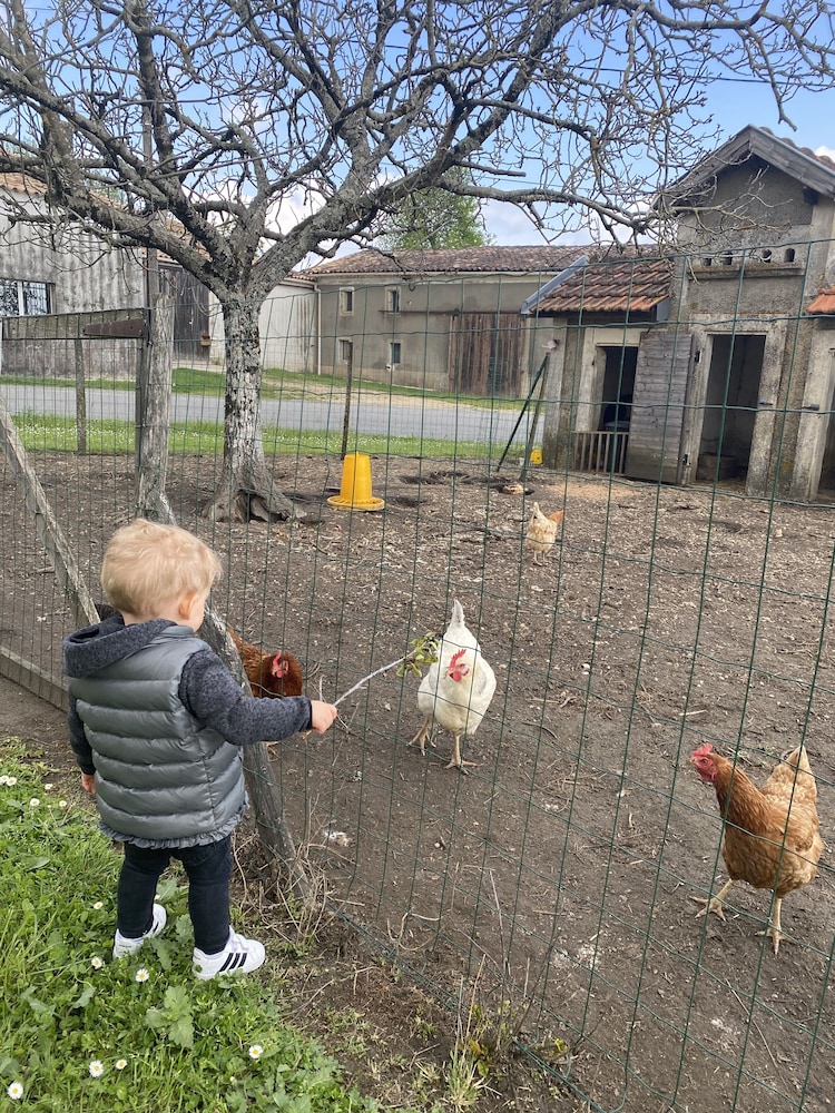 le relais de la chouette