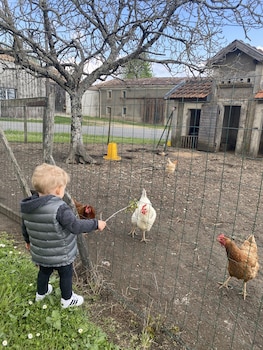 le relais de la chouette