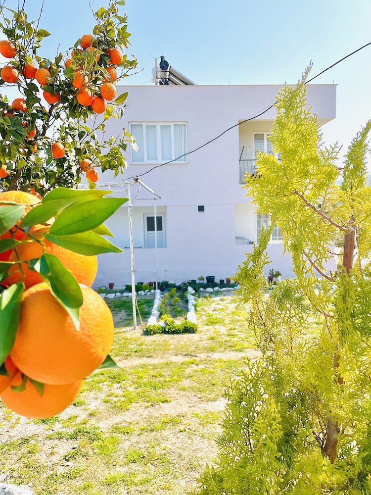 dalaman airport alibaba house