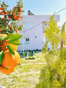 dalaman airport alibaba house