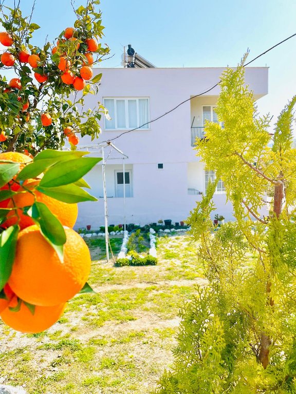 dalaman airport alibaba house