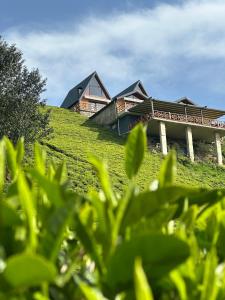 pugari otel