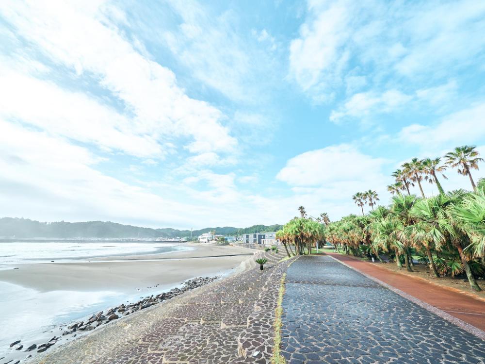 rakuten stay house x will style miyazakiaoshima