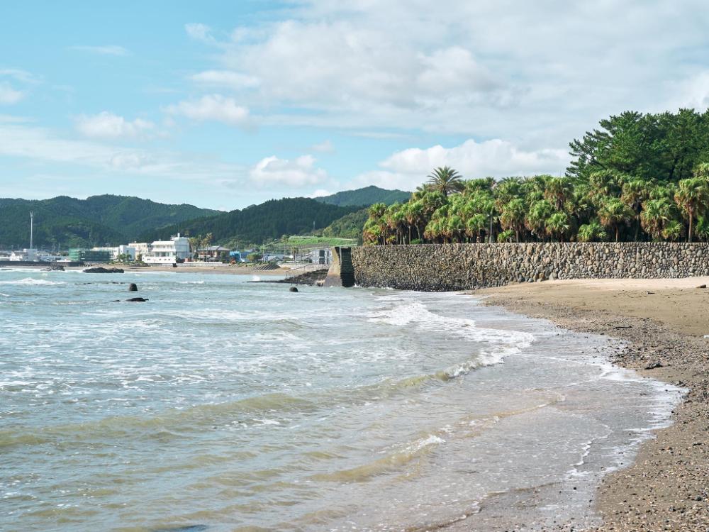 rakuten stay house x will style miyazakiaoshima