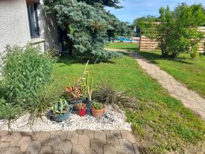 la maison du bonheur