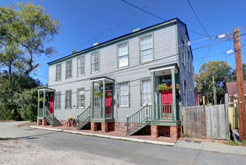 savannah