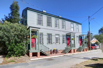 savannah