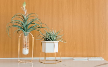 b2 surat thani premier hotel