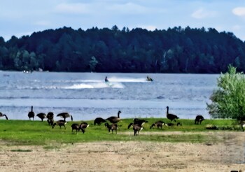 island pond country inn