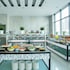 city avenue al reqqa hotel