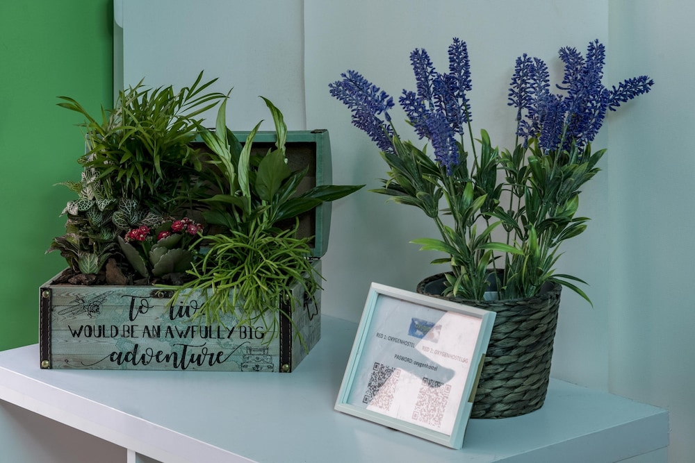 oxygen hostel capsula