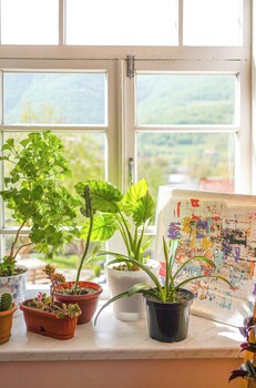 chamich guesthouse