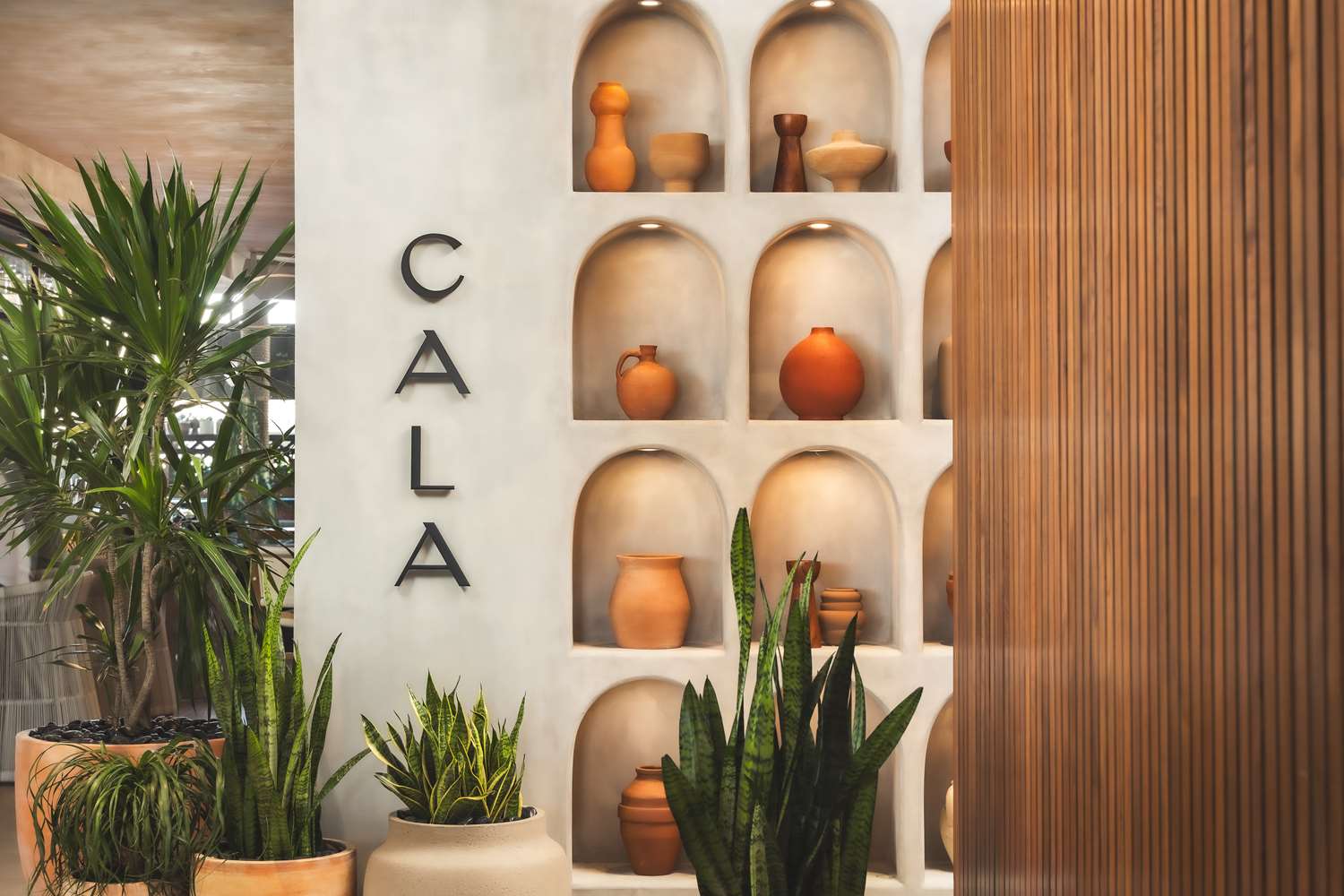 senna house hotel scottsdale curio collection by hilton