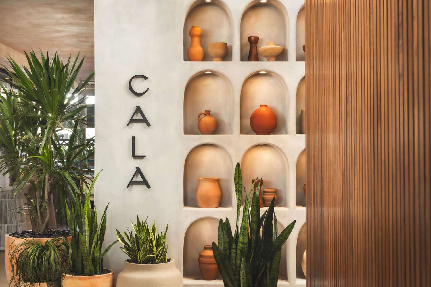 senna house hotel scottsdale curio collection by hilton