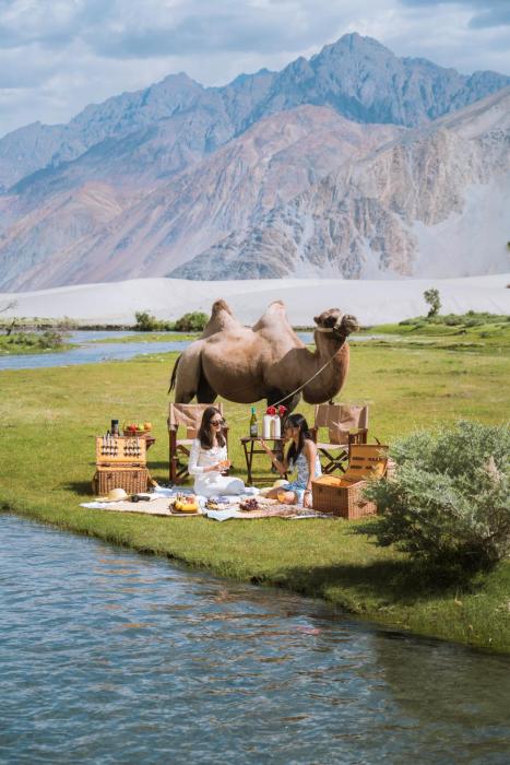 organic village retreat