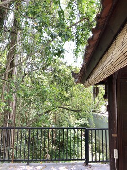 the jungle hostel canggu