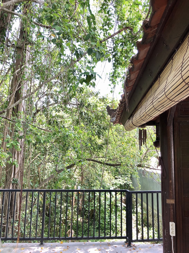 the jungle hostel canggu