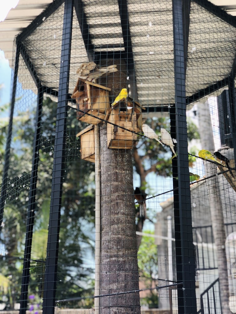 the jungle hostel canggu