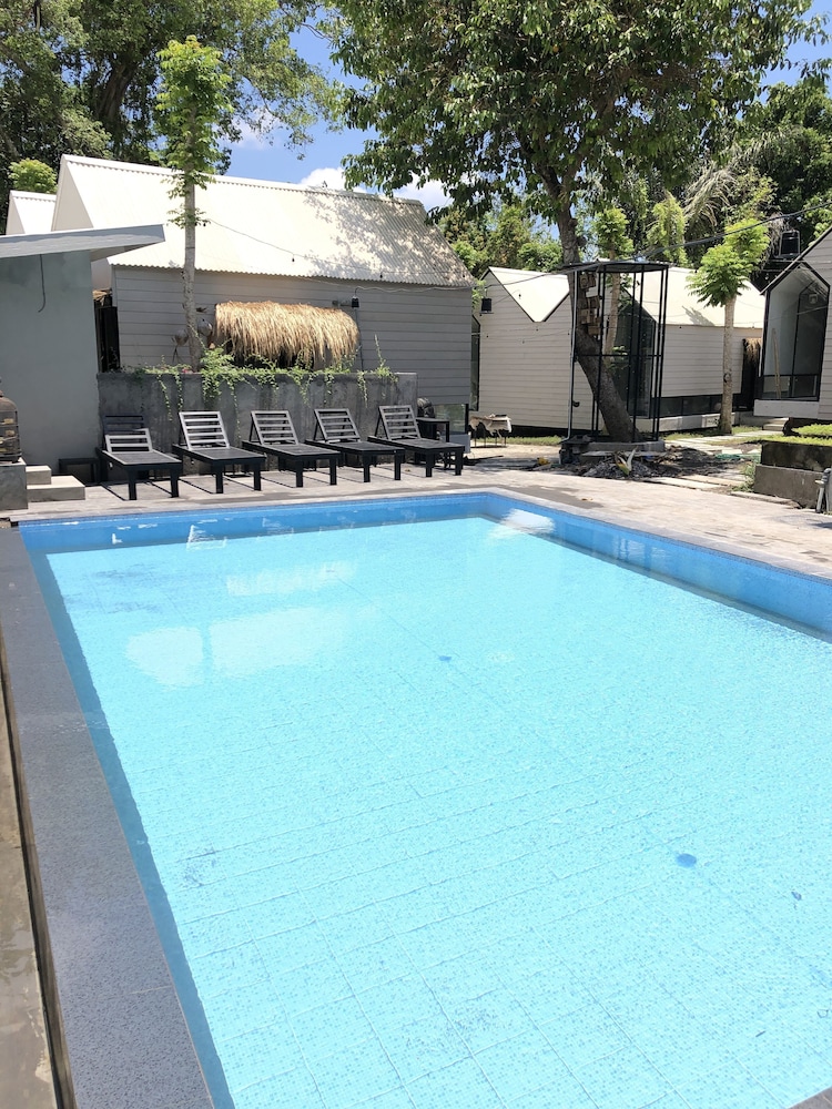 the jungle hostel canggu