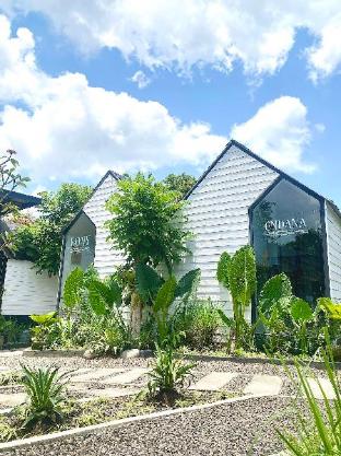 the jungle hostel canggu