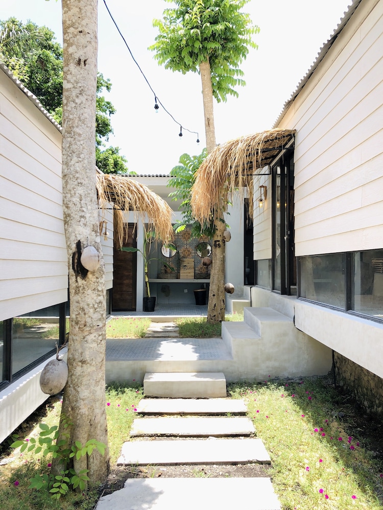 the jungle hostel canggu