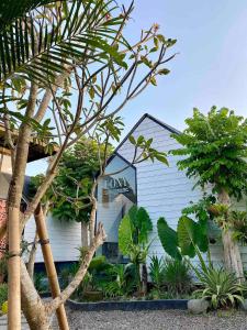 the jungle hostel canggu