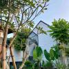 the jungle hostel canggu