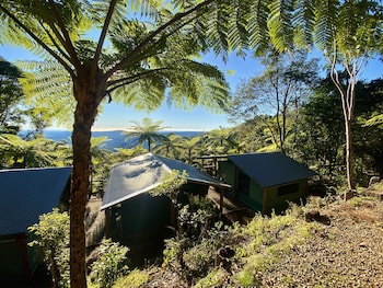 binna burra rainforest campsite