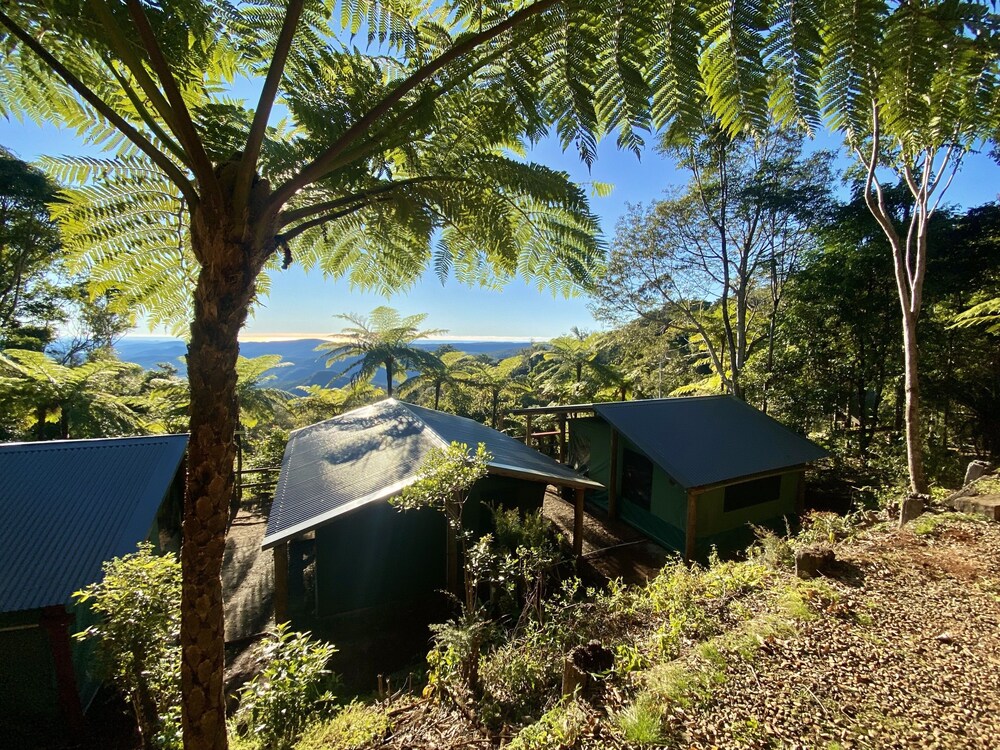 binna burra rainforest campsite