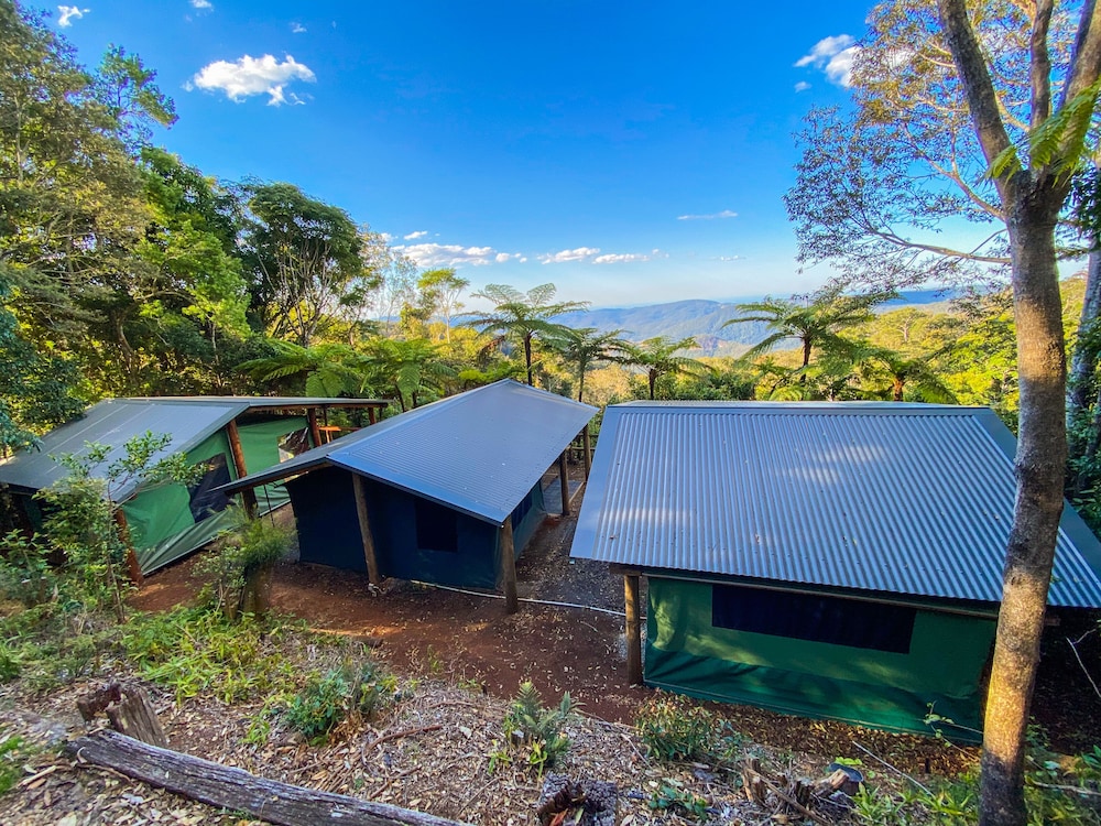 binna burra rainforest campsite