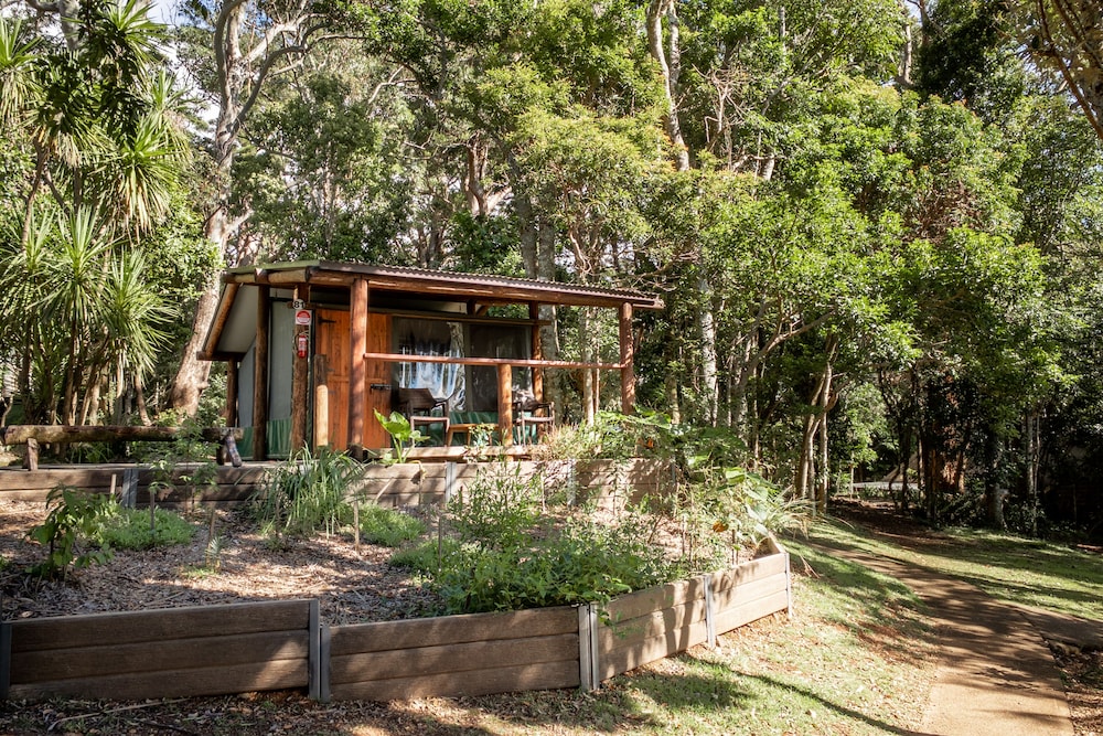 binna burra rainforest campsite