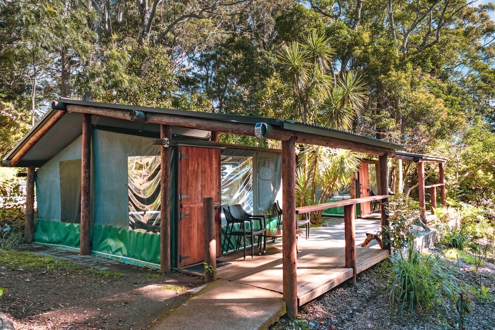binna burra rainforest campsite