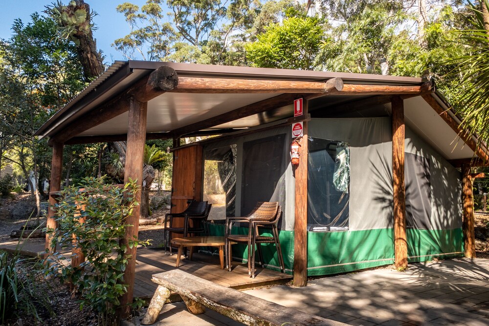 binna burra rainforest campsite
