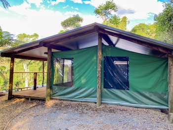 binna burra rainforest campsite