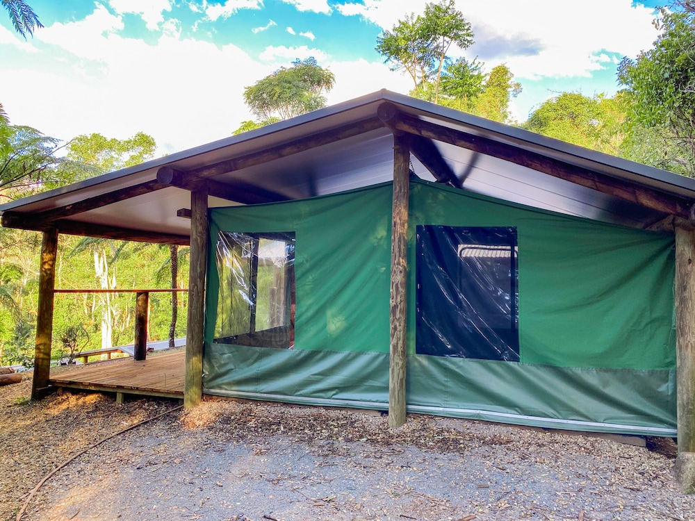 binna burra rainforest campsite