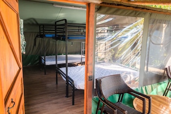 binna burra rainforest campsite