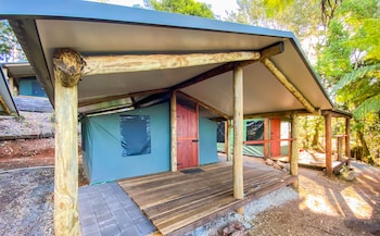 binna burra rainforest campsite