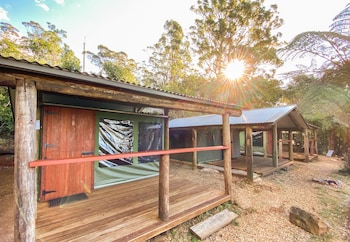 binna burra rainforest campsite