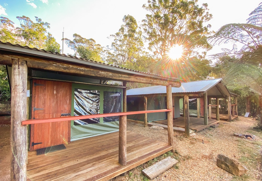 binna burra rainforest campsite