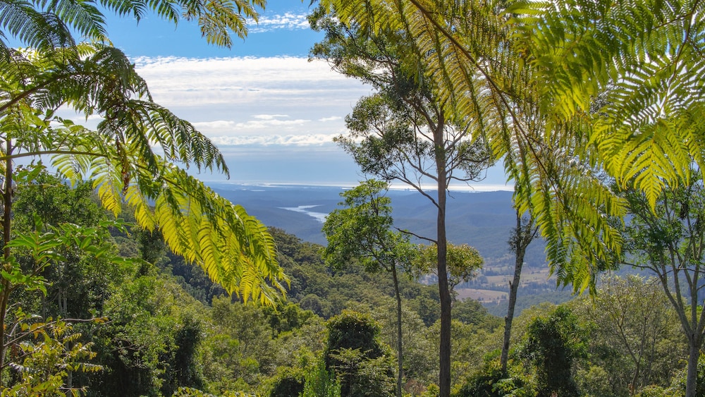 binna burra rainforest campsite