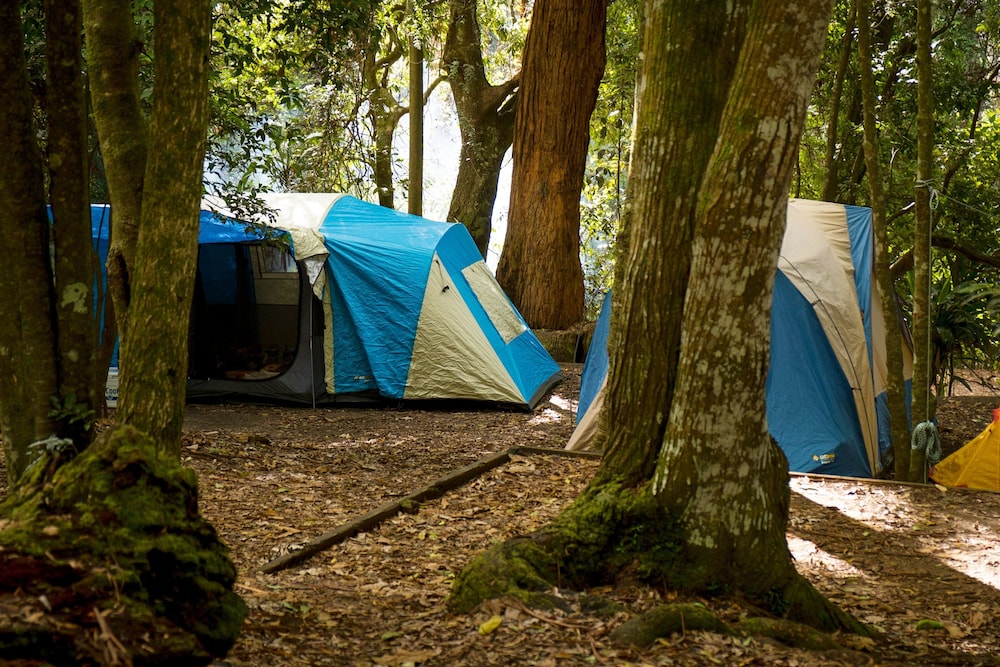 binna burra rainforest campsite
