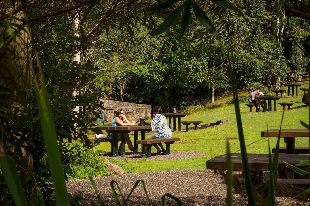 binna burra rainforest campsite